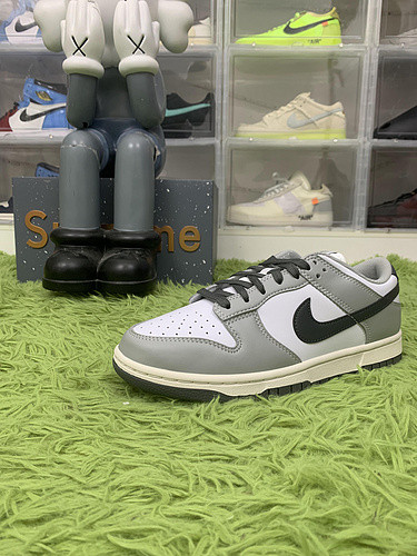 Nike Dunk Low Light Smoke Grey  DD1503-117