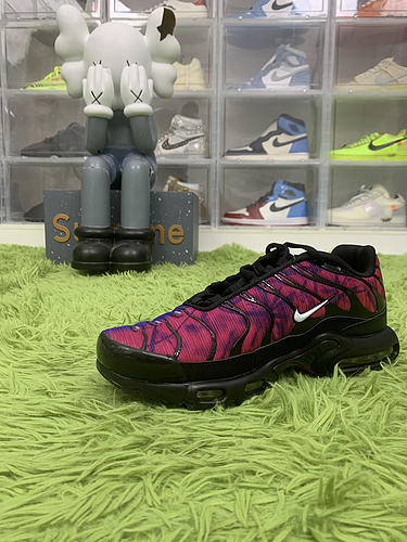 Nike Air Max Plus FV0393 001