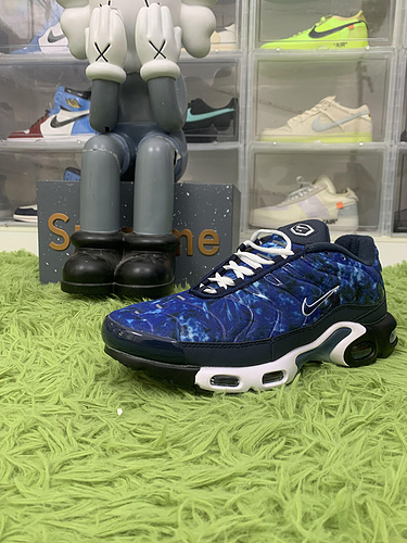 Nike Air Max Plus Midnight Navy White DO6384-400