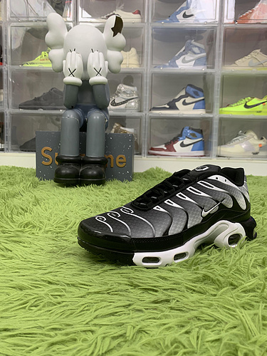 Nike Air Max Plus Black Silver White DM0032 003