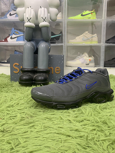 Nike Air Max Plus Grey Reflective DN7997-002
