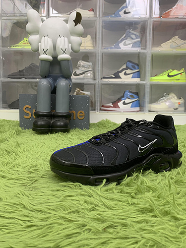Nike Air Max Plus DZ4509 001