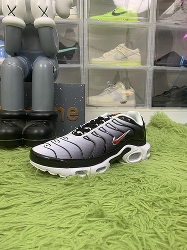 Nike Air Max Plus Swoosh Pack Blue Tint DM0032-008