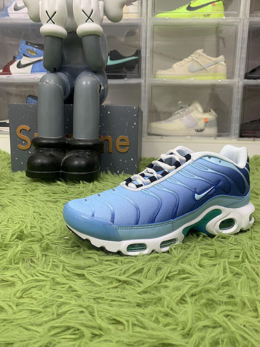 Nike Air Max Plus First Use University Blue DB0681-400