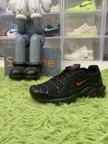 Nike Air Max Plus Metal Mesh Black Red