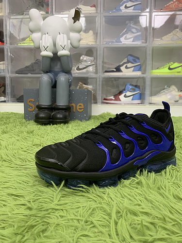 Nike Air Max Plus 924453 400