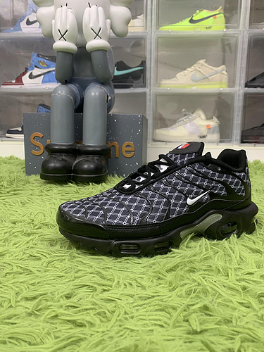 Nike Air Max Plus France DV3194-001
