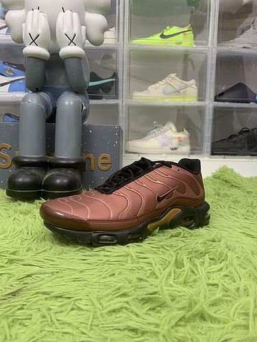 Nike Air Max Plus “Metallic Copper”