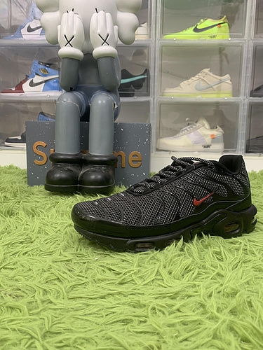 Nike Air Max Plus Metal Mesh Black Red DO6383-001