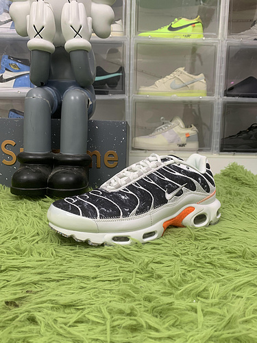 Nike Air Max Plus Essential Crater ——DA9326-100