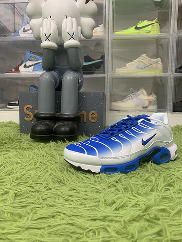 Nike Air Max Plus