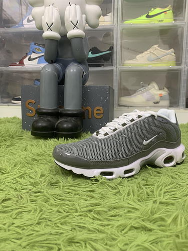 Nike Air Max Plus Flat Pewter DV7665-002