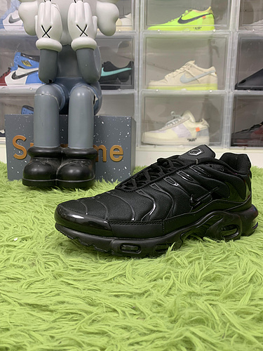 Nike Air Max Plus Triple Black  604133-050
