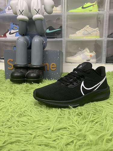 Nike Air Zoom Pegasus 39 Black Silver Metallic DH4072-002