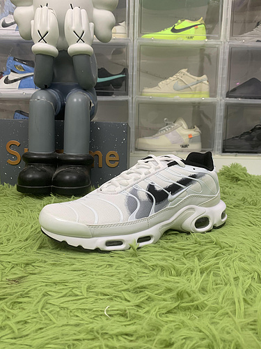 Nike Air Max Terrascape Plus Spray Paint Swoosh FD0658-100