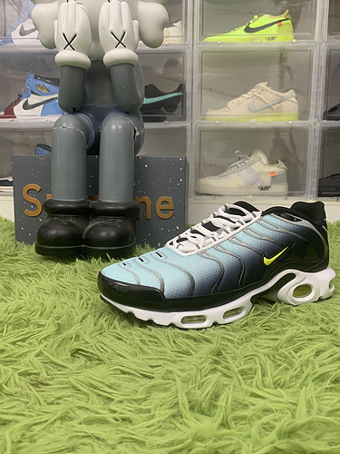Nike Air Max Plus Black Bright Cactus CD0609-022